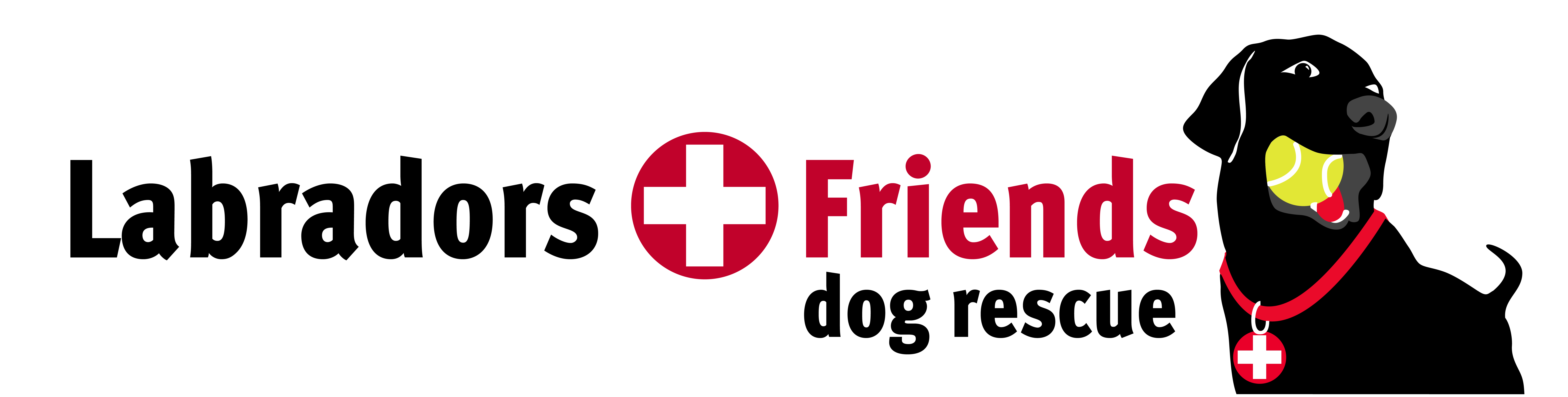 labradors and friends dog rescue